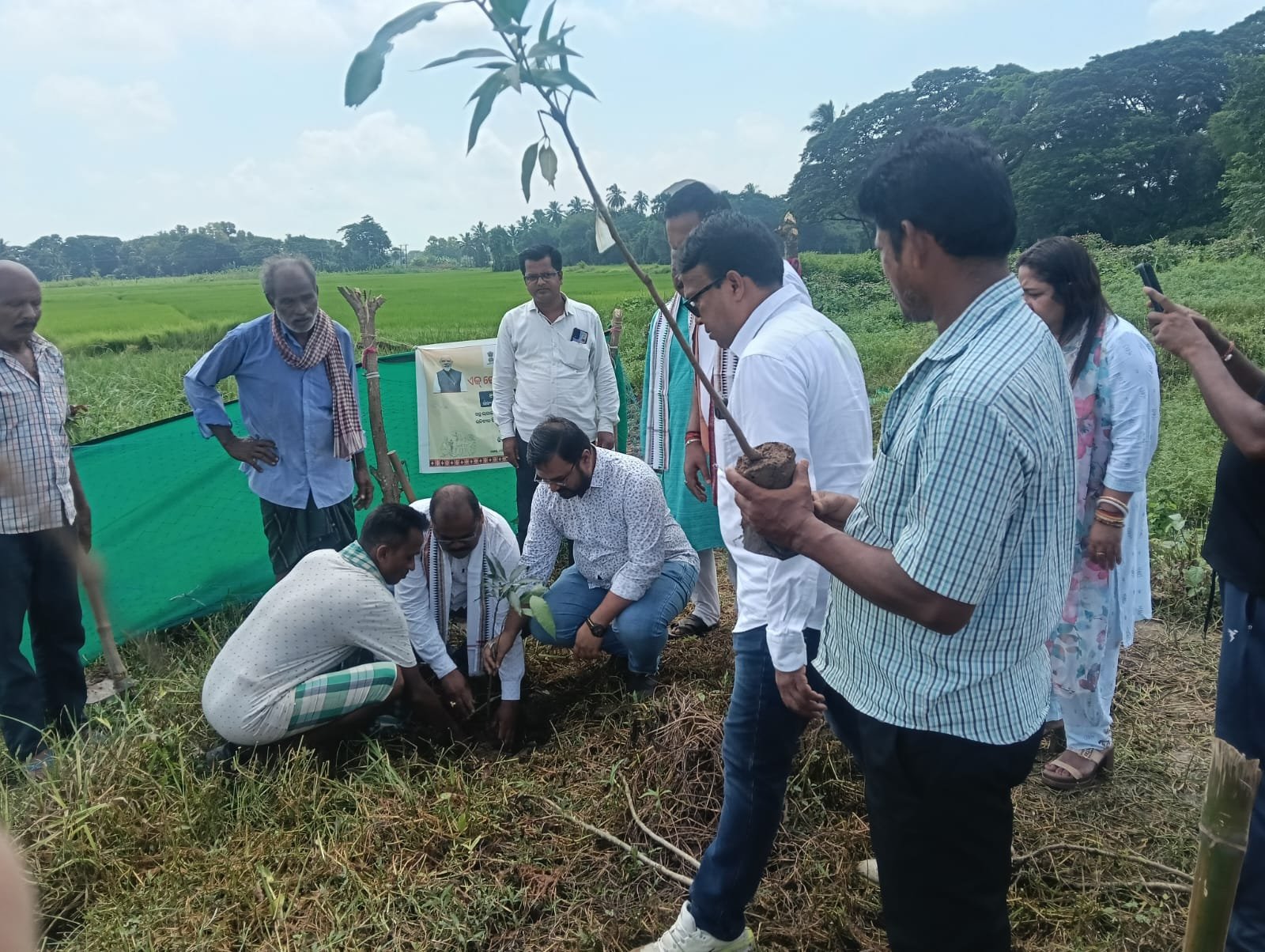 Plantation